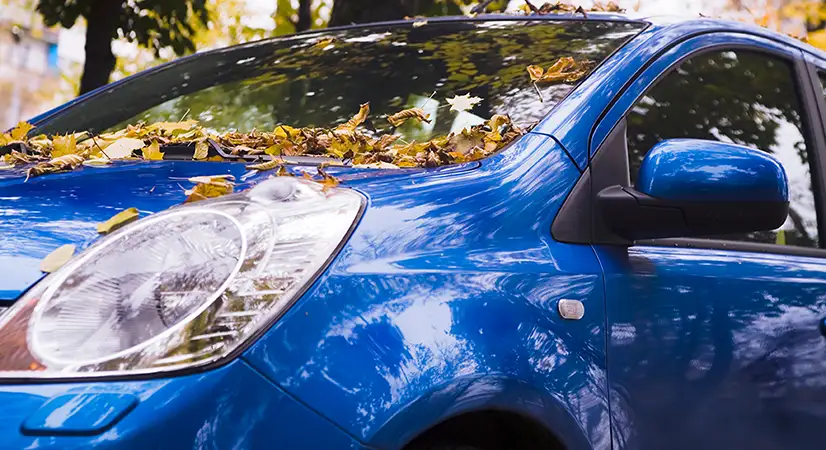 lucidare auto milano